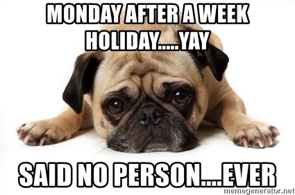 Allison Sauder tweet media