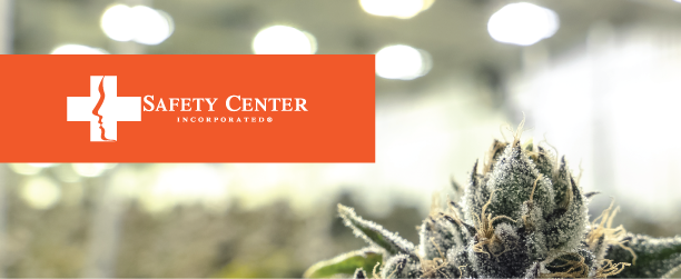 Time is running out to register for the mandated Cal/OSHA 30-hour training your cannabis business needs! 

More info at: safetycenter.org/workplace-safe…

#workplacesafety #safetymanagement #staysafe #calosha #safetycompliance #cannabisindustry