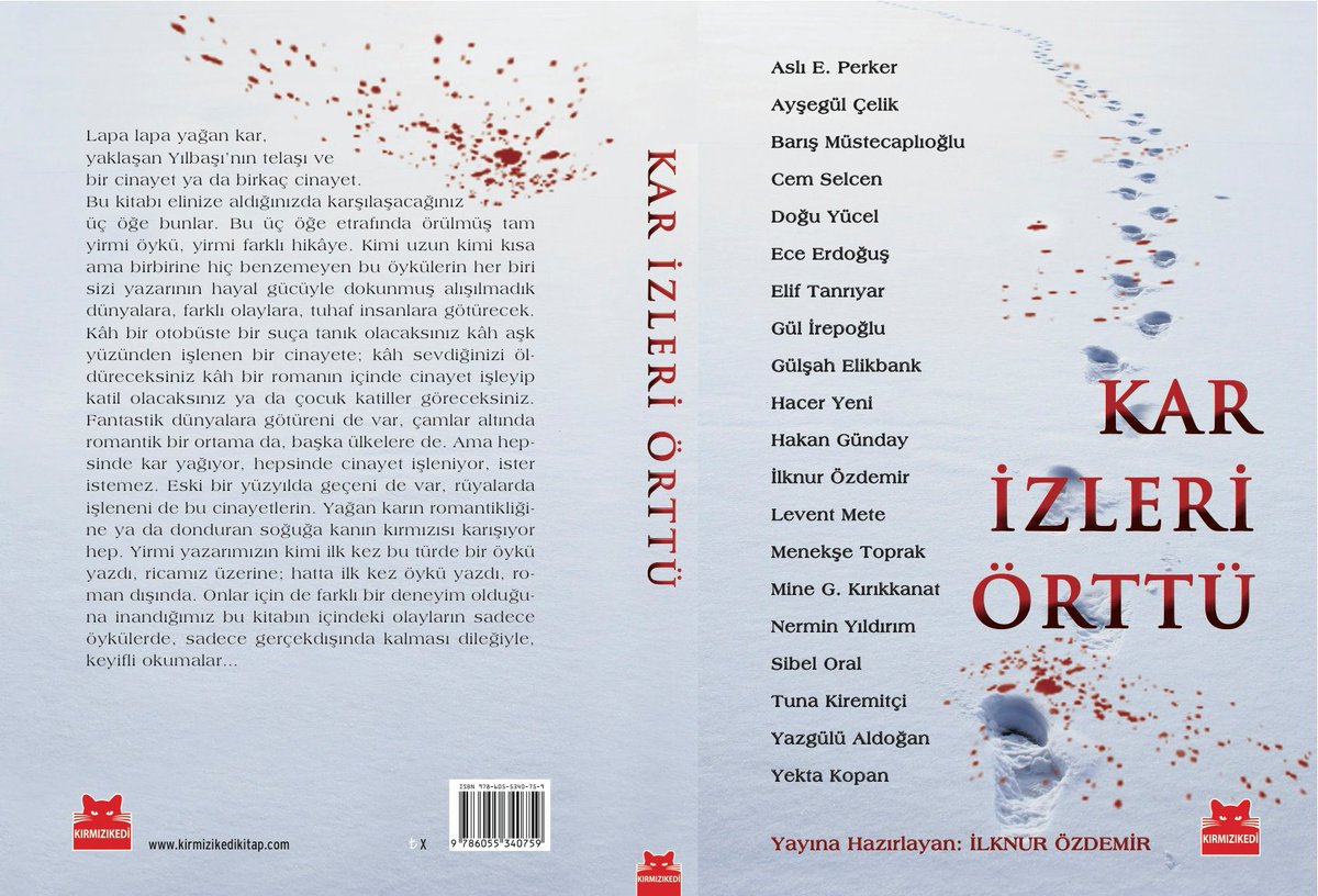 Lapa lapa yağan kar, yaklaşan Yılbaşı’nın telaşı ve bir cinayet ya da birkaç cinayet.

Bu kitabı elinize aldığınızda karşılaşacağınız üç öğe bunlar. Bu üç öğe etrafında örülmüş tam yirmi öykü, yirmi farklı hikâye. İçindeki olayların sadece öykülerde kalması dileğiyle.