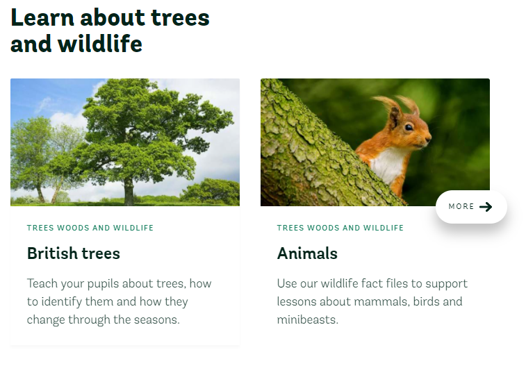 The Woodland Trust:A range of resources on trees, animals and wildlife to support learning in nature. @WoodlandTrust  https://www.woodlandtrust.org.uk/support-us/act/your-school/resources/