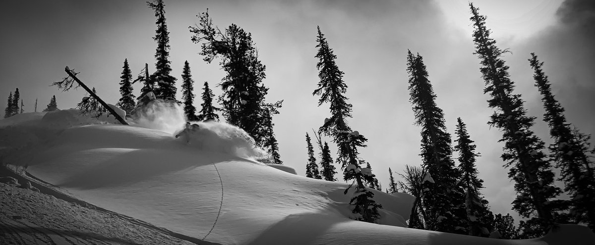 purcellheliski's tweet photo. Helloooooooo January. It's DEEP out there.
#purcells #keepitcoming https://t.co/tAg3cVBjuG