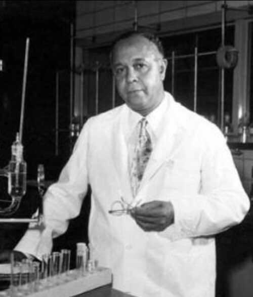 Fifty percent of the weight of the soybean is protein. And what a protein! No other protein that we've known comes so nearly to the basic protein of animals and humans as soybean protein.Percy Julian