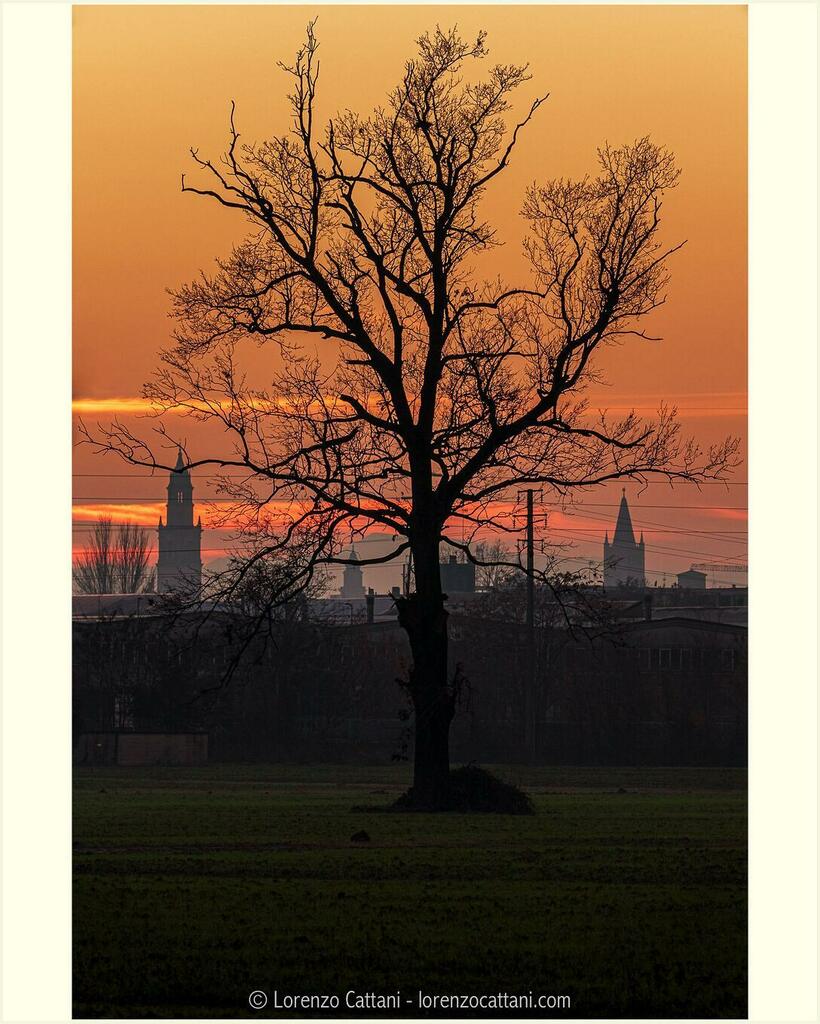 lcatta's tweet photo. Tramonto sui campanili di Parma 🌇🇮🇹
.
.
#angioldor #duomodiparma #visitparma #parma #igersparma #ig_parma #igersitalia #igparma #instaparma #volgoparma #parmacentro #parmaitaly #parmacity #visitemilia #igpic_parma #iatparma #igersemiliaromagna #igersemilia #igersitalia #love… https://t.co/2DJXoxR235