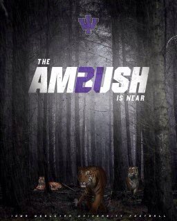 Super excited to receive my third offer from <a href="/IWTigerFootball/">Iowa Wesleyan Football</a> 🟣⚪️ <a href="/CoachSankus/">Christopher Sankus</a> <a href="/IdahoStatesman/">Idaho Statesman</a> <a href="/VallivueAD/">Vallivue High School Athletics</a>