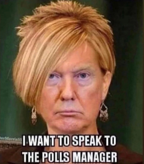 handysandy33's tweet photo. @realDonaldTrump You're such a loser! What a laughing stock you are!! https://t.co/a8aVdoqWD3