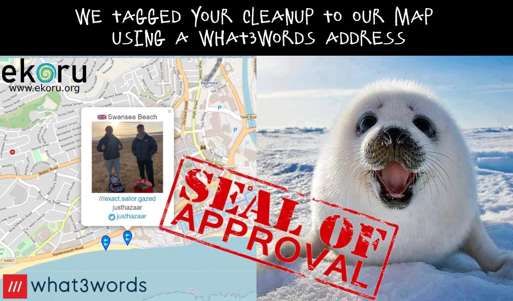 Ekoru Ocean Search Engine 🔎💙🌊 tweet media