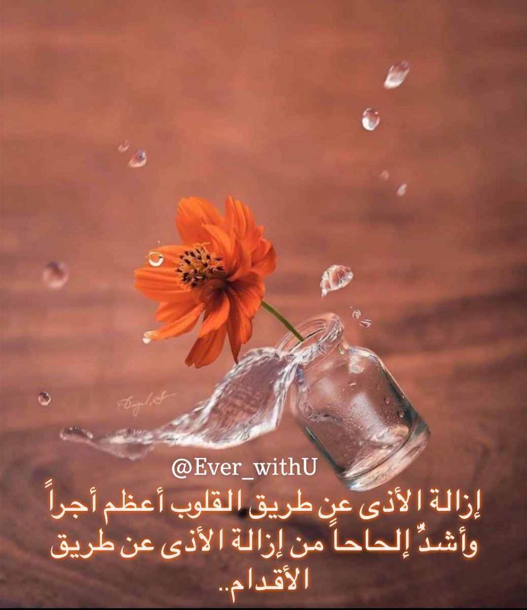إزالة الأذى عن طريق القلوب أعظم أجراً
وأشدُّ إلحاحاً من إزالة الأذى عن طريق الأقدام..