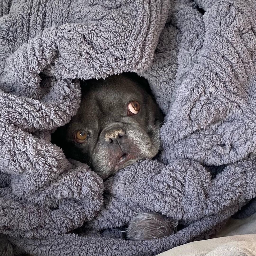 Dempseyaholics's tweet photo. @patrickdempsey via Instagram 

“Is 2020 really over? #monday.”

#Greysanstomy #GA #DerekShepherd #McDreamy #PatrickDemsey #BridgetJonesBaby #JackQwant #BJB #Actor #Neurologist #EllenPompeo #Merder #Dempeo #KateWalsh #Devils #DevilsCW #DominicMorgan #Cars #Racer #Addek https://t.co/14cJWm2934
