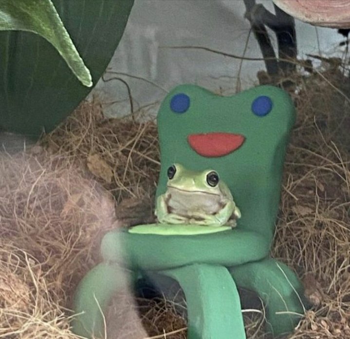 frog on Twitter: frog on Twitter: