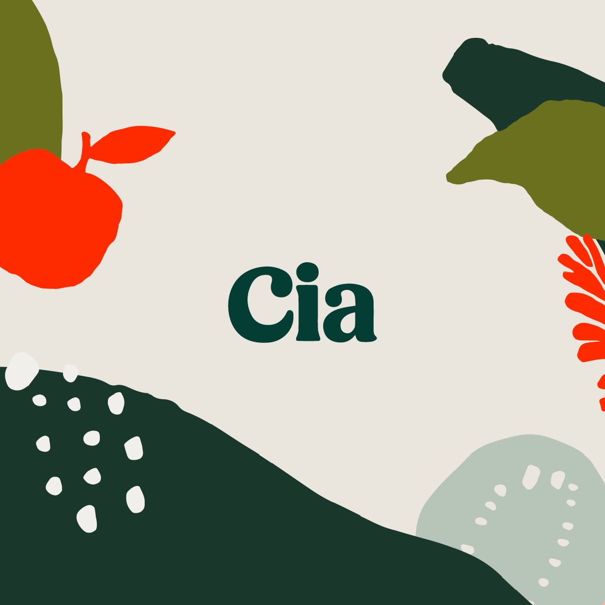 Rejected redesign for the CIA