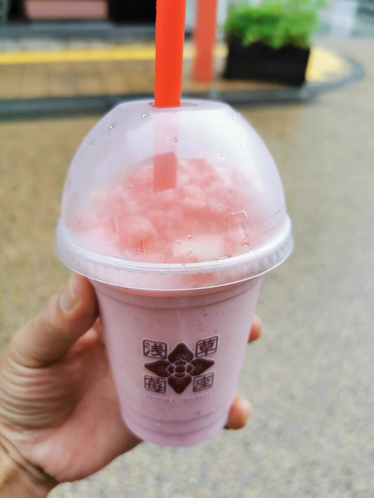 スムージーは甘さ控えめで飲みやすかったような...  