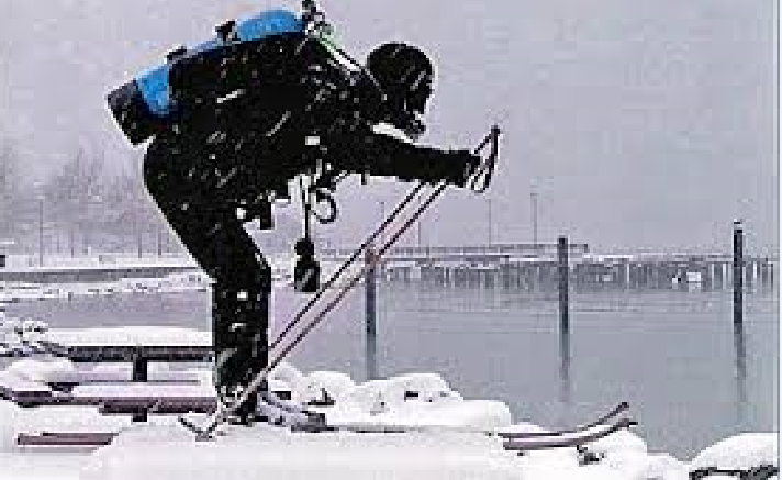 GLDiveLocker's tweet image. 