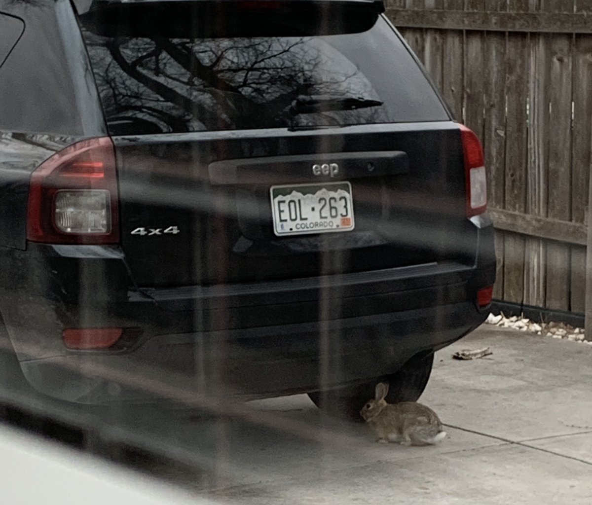 FCPolice's tweet image. Detectives are looking for info about missing Fort Collins resident, Christine Cummings. Family members believe she may have gone hiking and are concerned for her safety. More info: fcgov.com/news/?id=7934