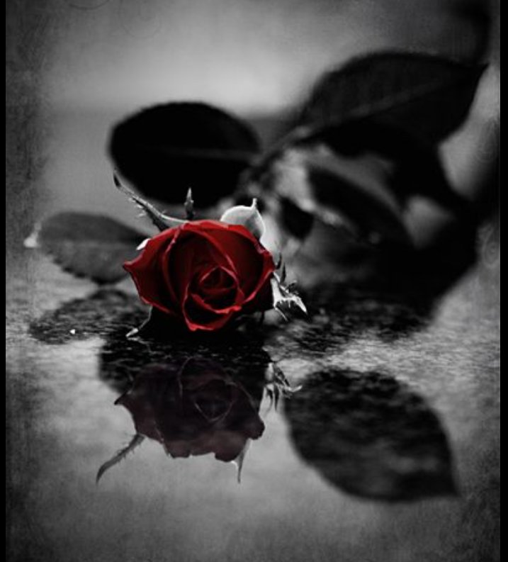 LaviniaDoria's tweet image. Many thanks my best friend❤ also I'm very happy to see you again, I wish you a New Year full of happiness and health. You deserve it, you're a special person ❤, kisses and hugs 🌺🌻🌼🌷
