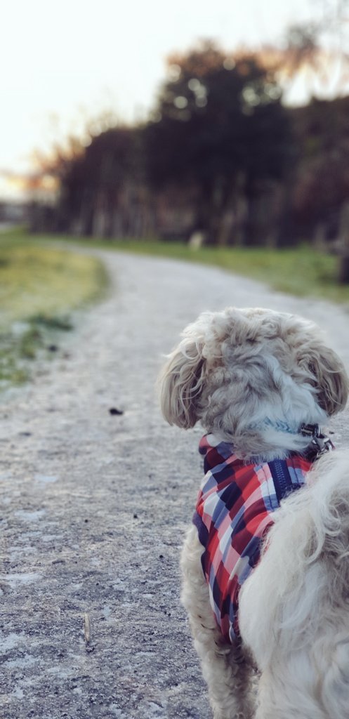 Gemma Stevenson (McGivern) tweet media