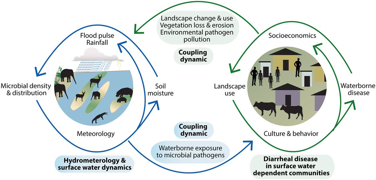 5. Diarrheal disease will be rampant in areas where water has been contaminated as a result of extreme precipitation patterns, extreme rainfall events, and seasonal variations.