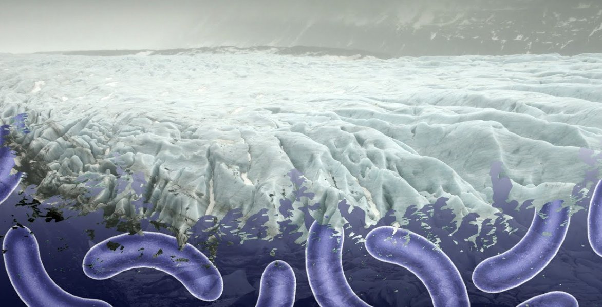 6. Finally, as ice melts we will come in contact with soil that has been frozen for 1000s of years, and it is in the realm of possibility that ancient viruses/bacteria could emerge.