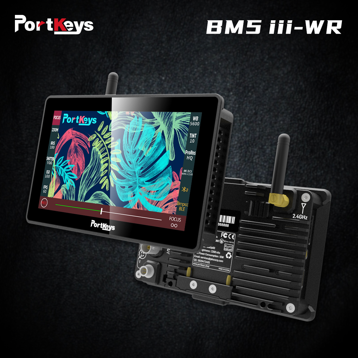Portkeys_Monitor tweet media