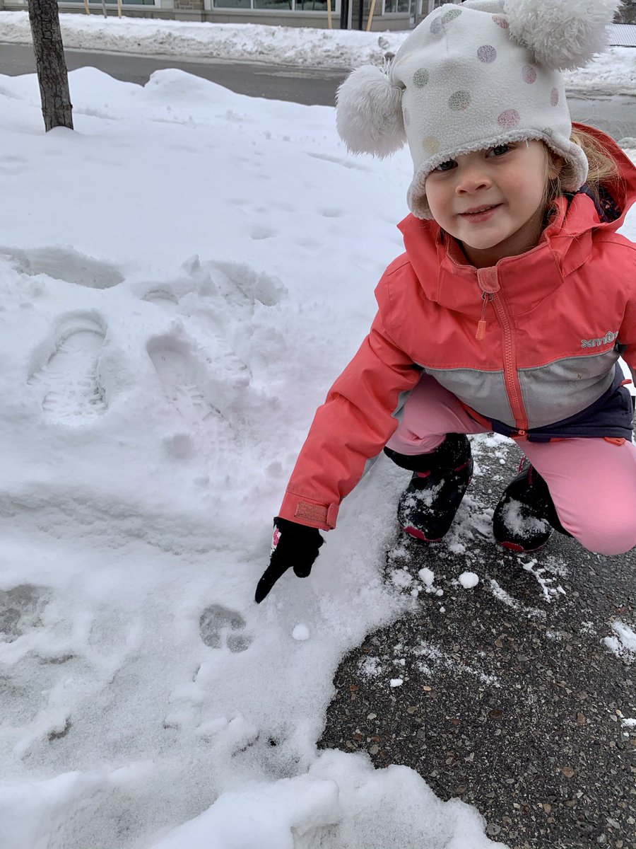 happyrapini's tweet photo. @kinderkings She’s thinking this is a dogs paw print. 🐾 https://t.co/cjXNUUpqSc
