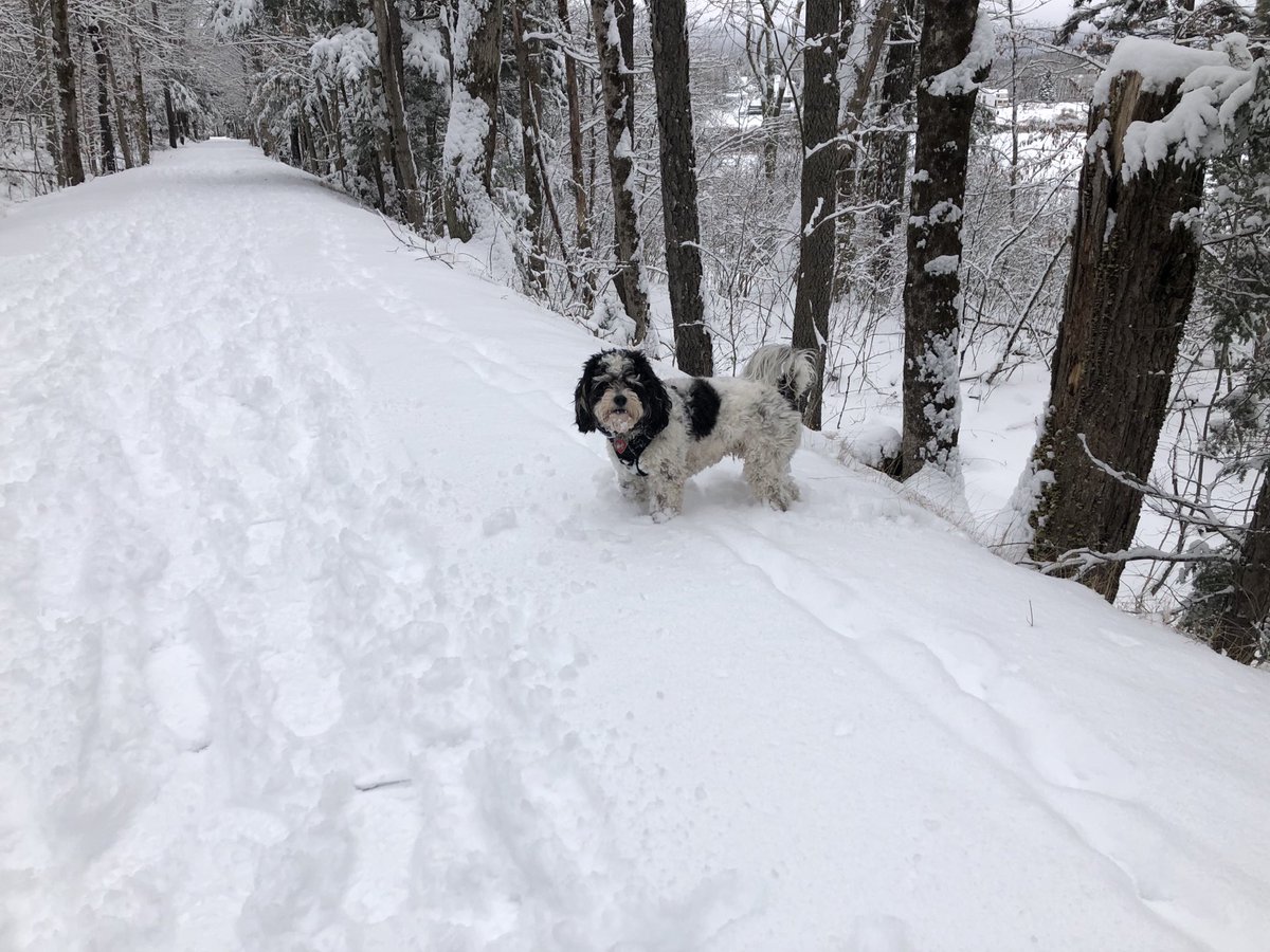 ⁦<a href="/LonnieQuinnTV/">Lonnie Quinn</a>⁩ 4” of fresh. Great day on the hill and off it. #Huntermtn