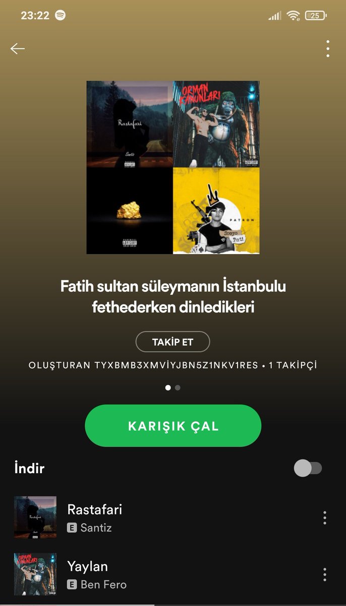 Verimli bir akşam