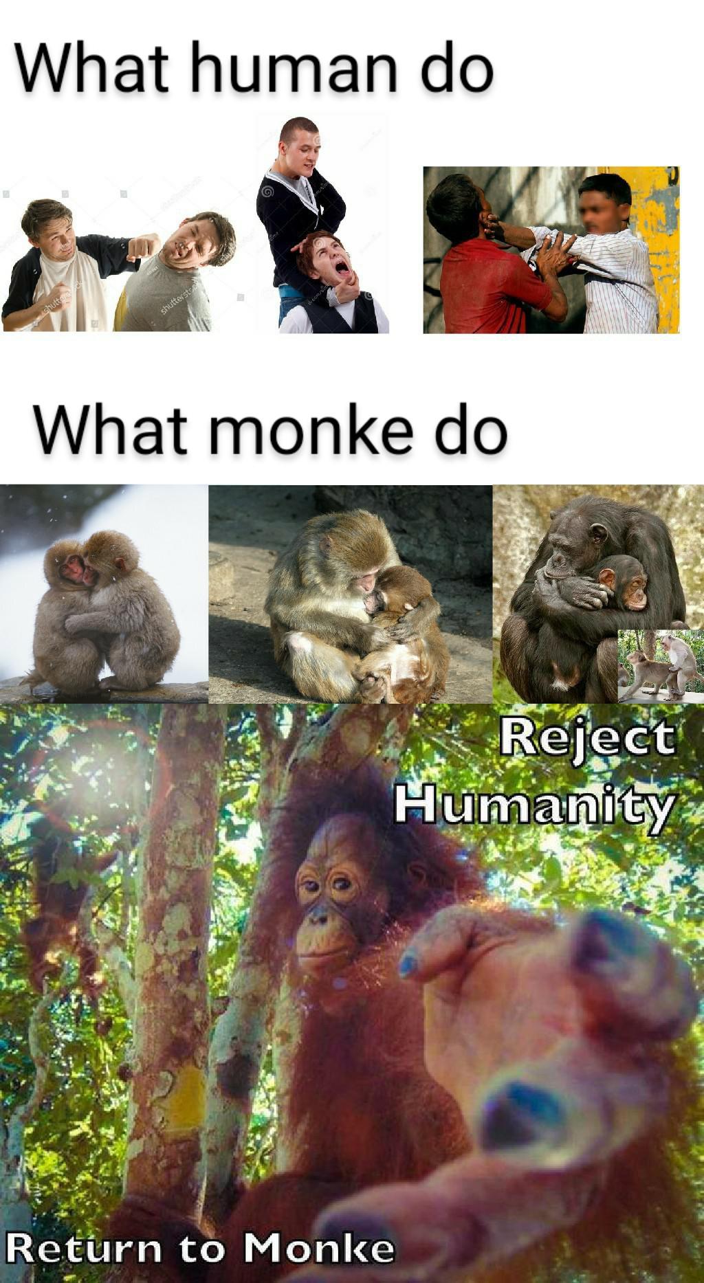 Return to Monke