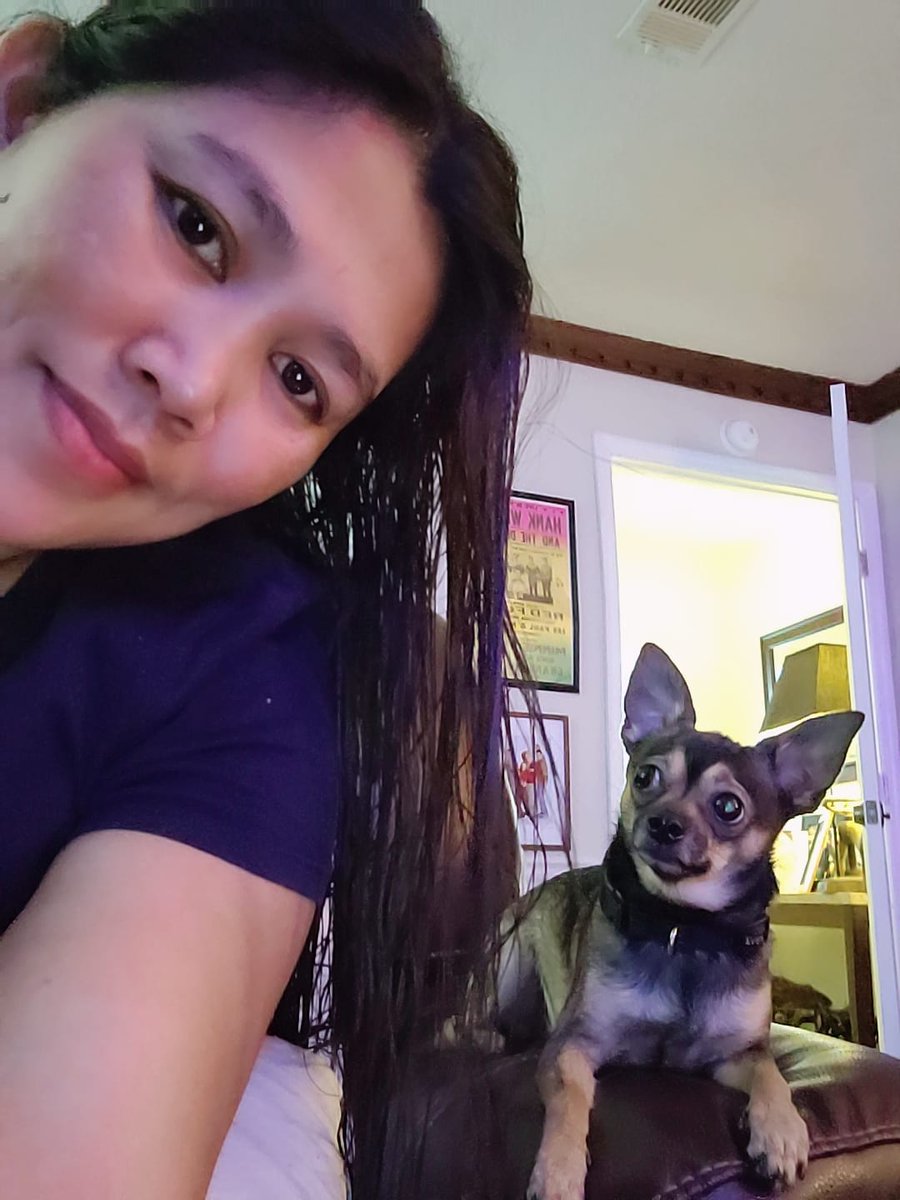 as_leroy's tweet photo. Get OUTTA my picture mama! Damn! #chihuahua #chihuahuas #dog #dogs #doglovers #doglife #dogsoftwitter #smiles #doggy #dogfriendly #DogLover #dogsontwitter #stonedhound #dogsofinstagram #woof #bark #jokes #comedy #dogsoftwitter https://t.co/S40rgTyq7Z