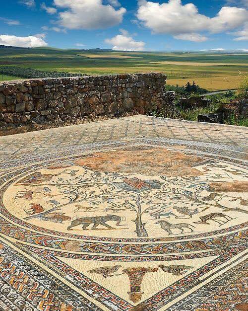 romanhistory1's tweet image. The wonder of Roman mosaics in Volubilis, Morocco.
