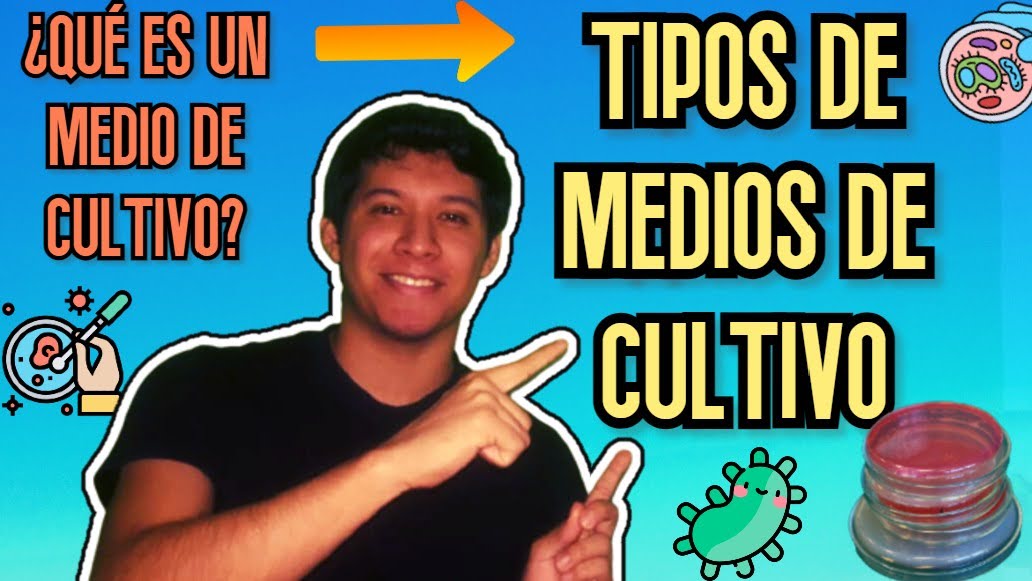 QuimicaVerap's tweet photo. NUEVO VIDEO SOBRE LOS TIPOS DE MEDIOS DE CULTIVO https://t.co/oakvgFV0OV

#chumel #microbiologia #mediosdecultivo #zipolite #gatell #youtuber #YOUTUBER #añonuevo2021 #chumeltorres #YouTube  #quimicaverap #SamuelGarciaCampeonMamawards  #nationallockdown  #Oaxaca  #VacunaCOVID19 https://t.co/wh3dxoow8K