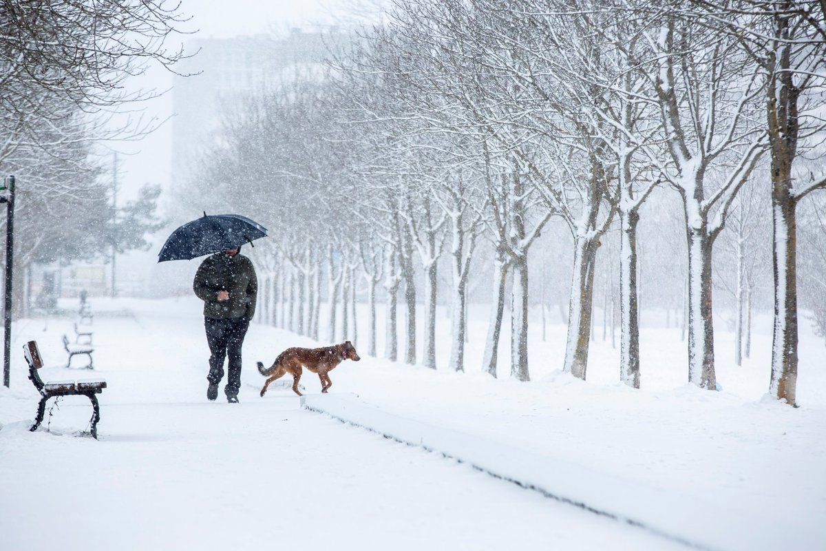 OnlineDanas's tweet photo. #fotodana #Danad Grad Vitorija pod snegom, meteorolozi u Baskiji proglasi su žuti meteoalrm Foto: @epaphotos /David Aguilar https://t.co/XlfW4L2aF8