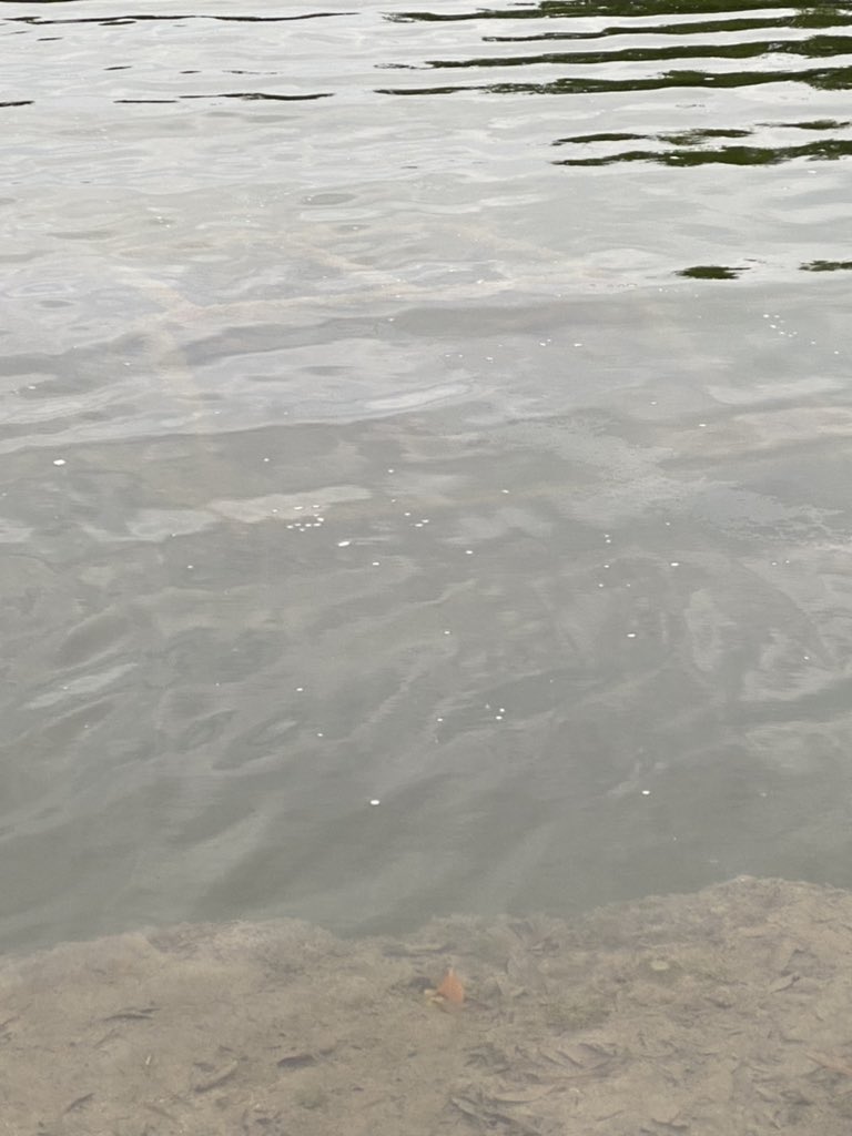 I’m here! Heading in!