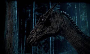 ⏃Whisper of Locket ϟ tweet media