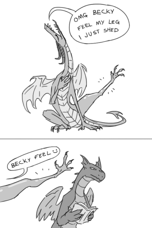 OpheliaDragons's tweet photo. Becky, please.
Comic by pocketss!
#dragonhumor #comic #beckyplease https://t.co/1dGPW0xJWV