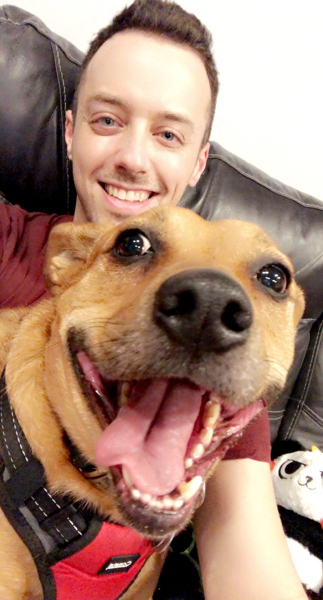 Don’t you wanna boop that nose? 🐶