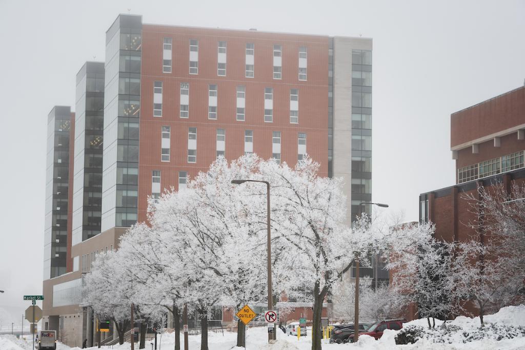 Is this heaven? No, it's I-O-W-A. 💛🖤