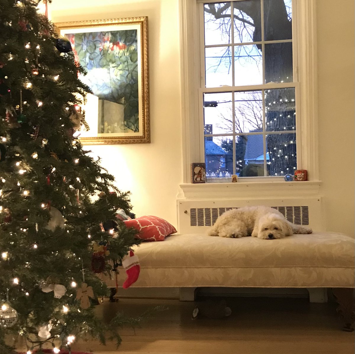 Glovey_Chron's tweet photo. Hello. Happy New Year. In case you have been wondering about me, here are some pics of all the different things I’ve been up to the last few weeks. https://t.co/dYHdUIpqMQ