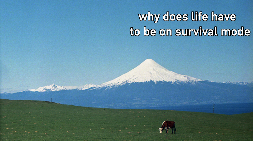 chib (@chibleee) on Twitter photo 