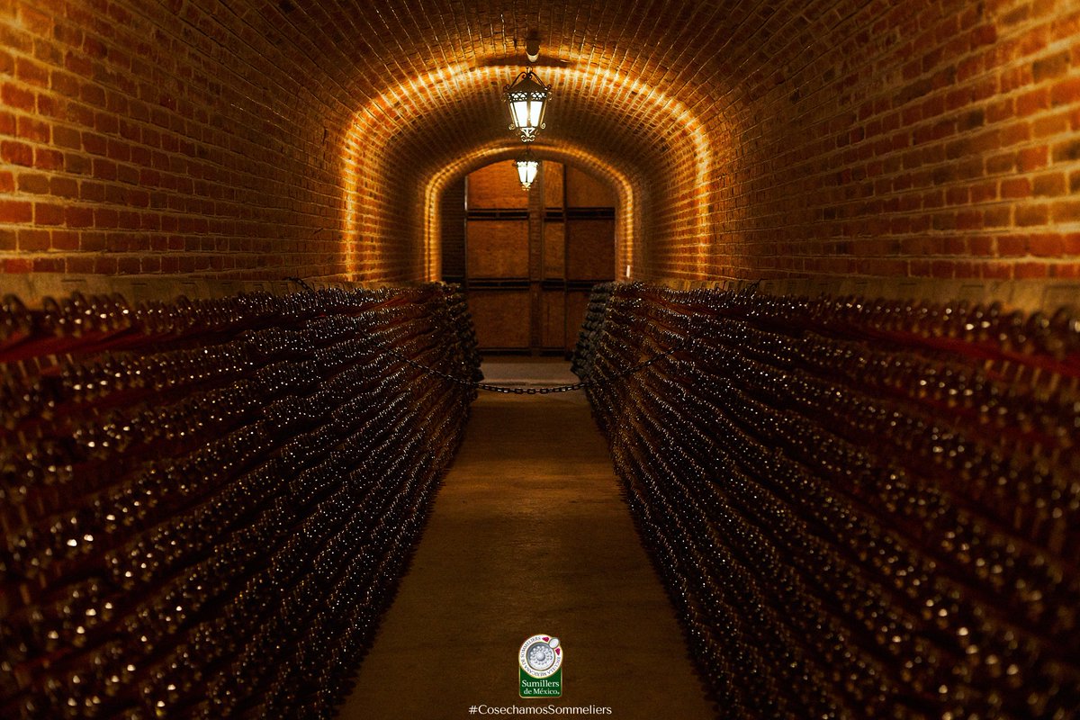 Ese mágico momento en el que entras a una cava por primera vez. Nunca se olvida. ✨😍

#CosechamosSommeliers #Sommelier #vinomexicano