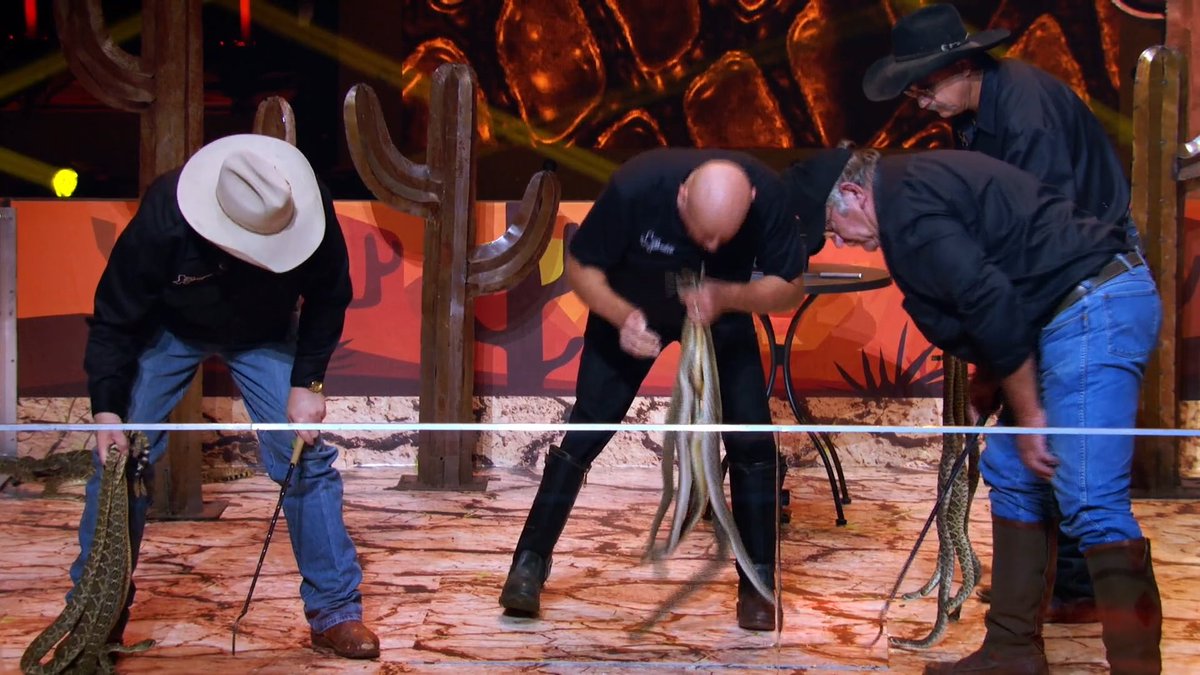 There's a big difference between working with animals (eg horse riding) and animal abuse like <a href="/gobigshowtbs/">Go Big Show</a> features in the trailer where the snake's body weight hangs from a few vertebrae and is swung hard enough it can't move naturally. Not cool <a href="/tbsnetwork/">TBS Network</a> <a href="/bwwings/">Buffalo Wild Wings</a>