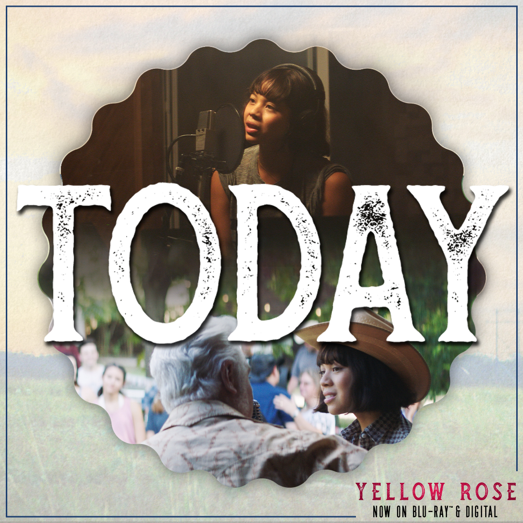 Yellow Rose tweet media