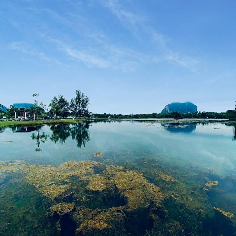 PerlisPermai's tweet photo. 𝗦𝗔𝗟𝗔𝗠 𝗣𝗘𝗥𝗟𝗜𝗦

05 Januari 2021 | 21 Jamadilawal 1442H

Selamat Pagi | 📷 Ketenangan @ Tasik Melati, Perlis

Kredit foto : Nurul Najwa

#PerlisPermai💛💙 #SelamatPagi🌄 
#JomPiPerlis #TasikMelati #Perlisku #Malaysia🇲🇾 https://t.co/yc66zLpkwB