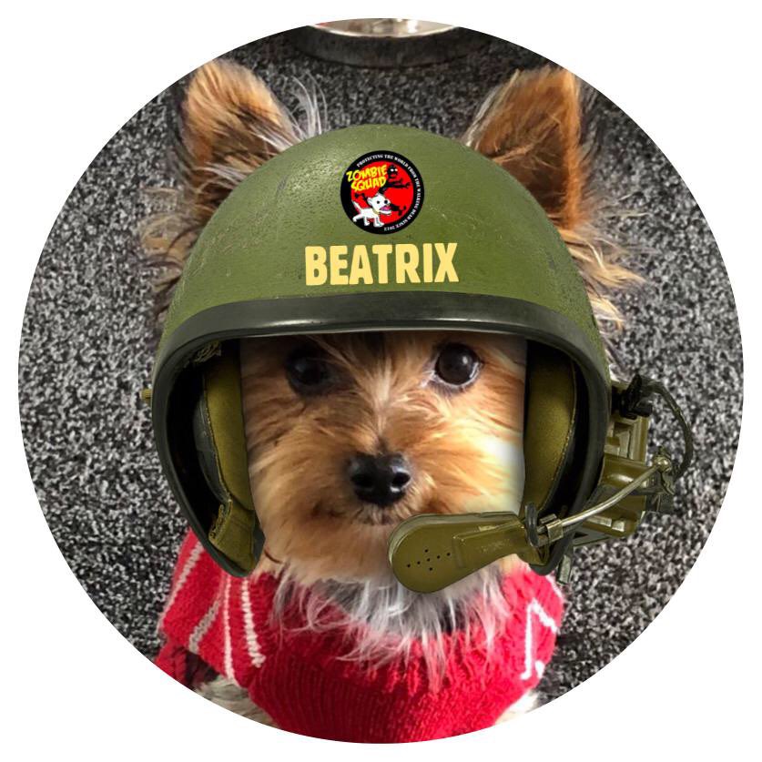 WidgetGizmo's tweet photo. @pipusmar Yous could lookie at #ZSHQ!
Also #Aviators #SpaceFurce #RuffRiderz #OTLP.
Theirs lots & LOTS of #twittercritters! https://t.co/xc2F5Zk81m