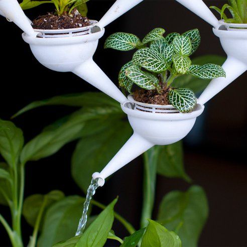 BestSmartGarden's tweet photo. Wonderful Idea.
#wonderfulidea #plants #easylife
#houseplants #miniplanters #future
#indoorgarden #gardening https://t.co/yx0OcsdSPr