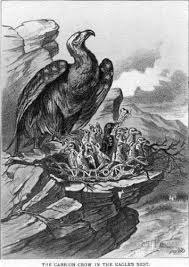 For the next forty years, they were America's problem child, the crow in the eagle's nest (as depicted in this political cartoon). Mormons resisted any attempt to be reformed, and America refused to grant them political sovereignty. /6