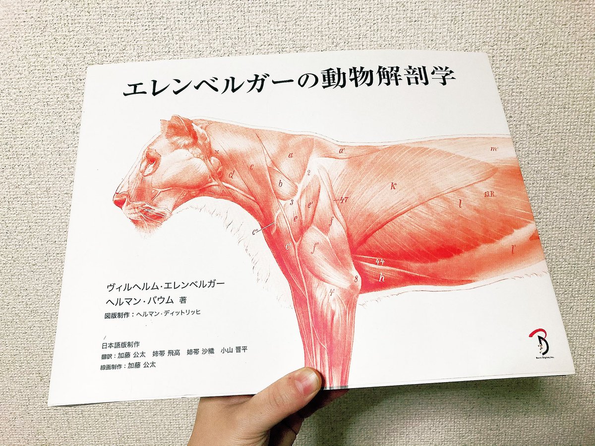 今日の資料は
エレンベルガーの動物解剖学
大好きな資料の一つ、
四つ足中心の資料だけど、動物の内部から骨、部位の細部までしっかり解るように出来ててとっても勉強になるよ。
ただ描き初めの人にはあんまり向いてない資料かも
極めたい人向け…?!
#今日の一冊 
#資料 
