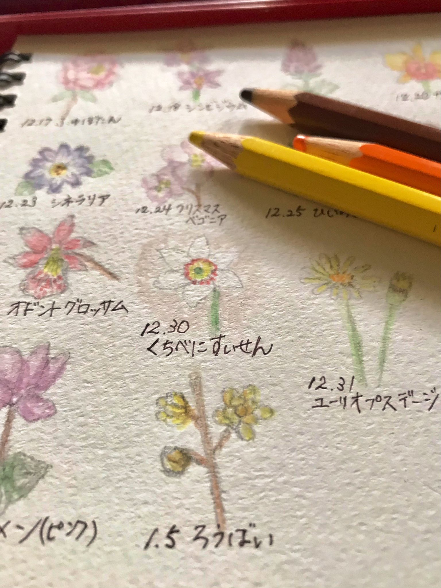 Twitter 上的 Atelier M Birthday Flowers 1月5日の誕生花は ろうばい 花言葉は ゆかしさ 慈しみ など お誕生日の皆さん おめでとうございます ロウ細工のような質感 小さな花姿はひかえめで 清楚な美しさを秘め個性的 1月5日誕生日 誕生花 蝋梅 花 Twitter 上的 Atelier M Birthday Flowers 1月5日の誕生花は ろうばい 花言葉は ゆかしさ 慈しみ など お誕生日の皆さん おめでとうございます ロウ細工のような質感 小さな花姿はひかえめで 清楚な美しさを秘め個性的 1月5日誕生日 誕生花 蝋梅 花