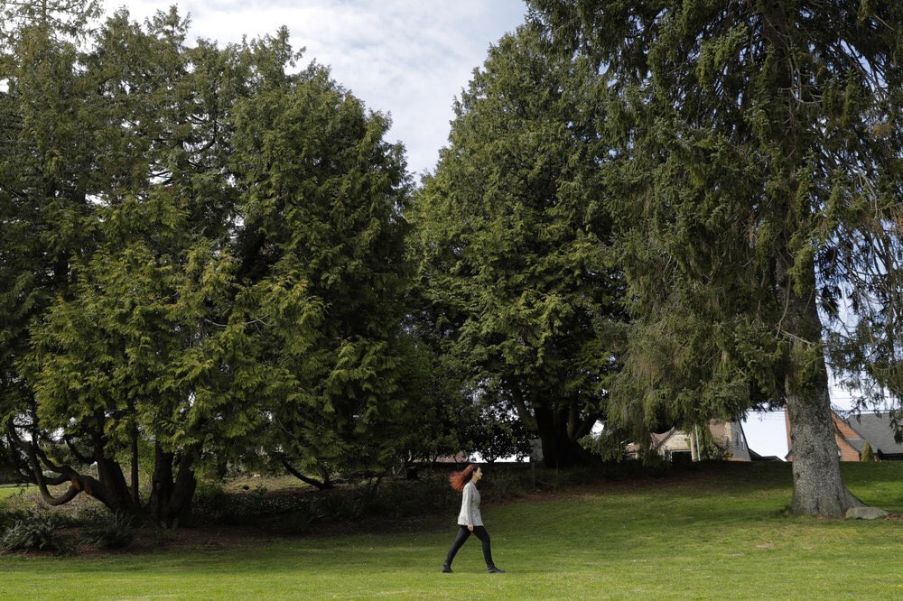 What are your favorite places in nature?

I am fighting to protect the Pacific Northwest. The trees, the ocean, the wildlife, the mountains...they motivate me to keep persevering.

Let’s start a thread, what beautiful places are you fighting to protect?