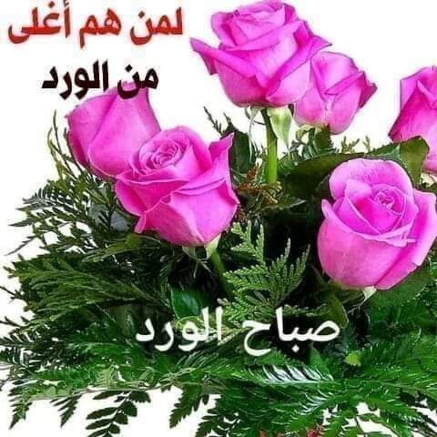 ahmdhge's tweet photo. https://t.co/MDtNHzV6RA