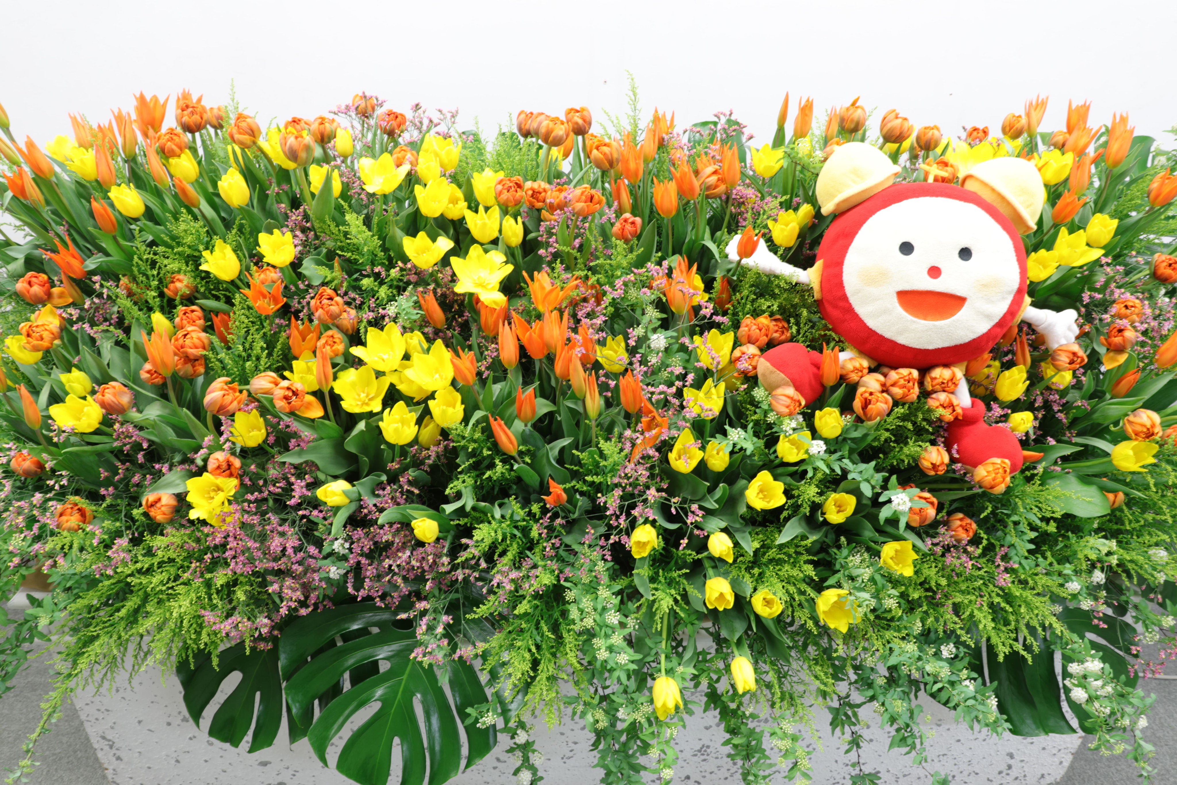 フジテレビフラワーネット 本日の めざましテレビ でご紹介のお花 今週は ひと足早い春をお届け チューリップです ご応募 T Co Esrtsu2c3k めざましテレビ 花 プレゼント T Co Ux8feotuhv Twitter