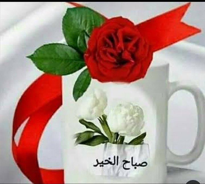 🍀💕﷽💕🍀

💕🍀السلام علیکم و رحمتہ اللہ🍀💕

🍀💕بیشـــڪـــــ قـــرآن پاڪــ وہ آئیــنہ ہــے،
جـو انـسـان ڪـو الّلہ سـے ملاقاتـــ ڪــے لیـے تیــار ڪـرتا ہے...💕🍀

💕🍀صبح بخیر زندگی🍀💕